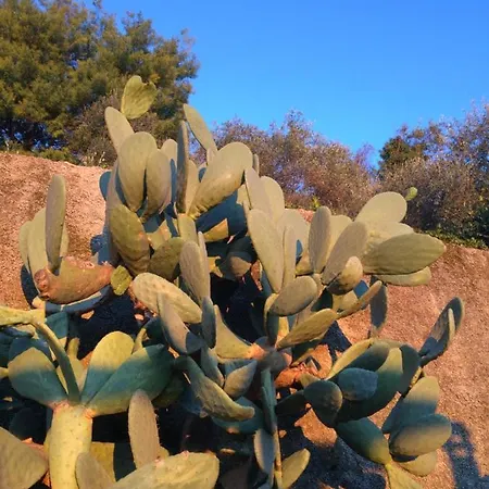 Bella Vista 3* Carasco