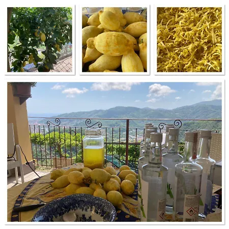Bella Vista Bed & Breakfast *