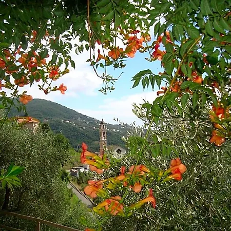 Bella Vista Carasco