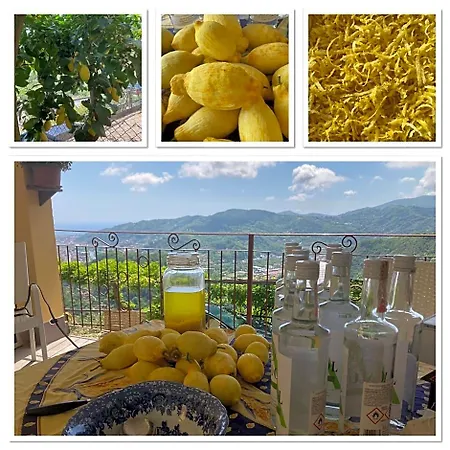 Bella Vista Carasco