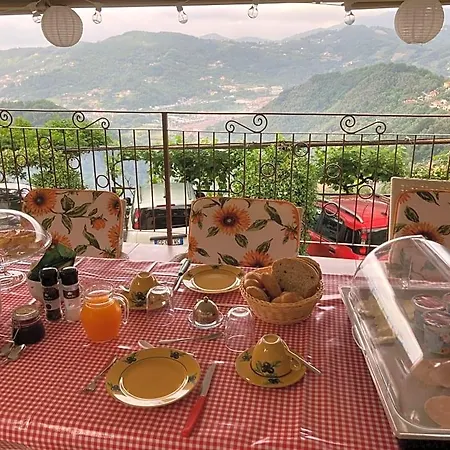 Bella Vista